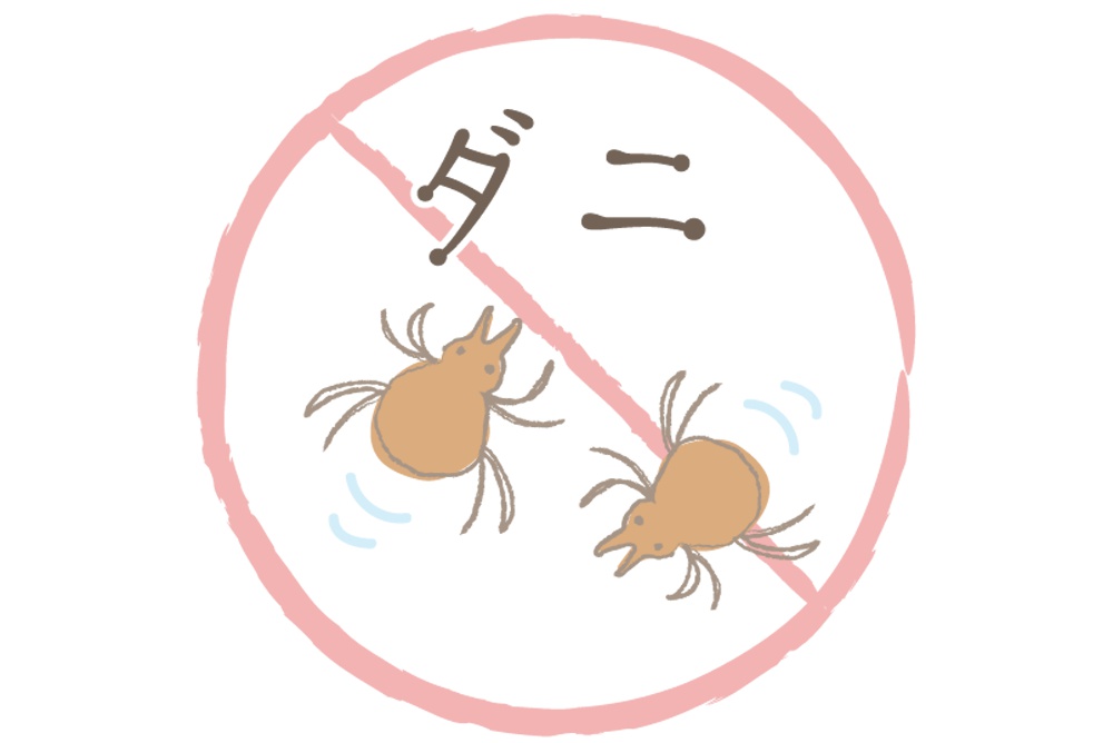 ダニ対策はどうすればいい？対策グッズの種類と選び方